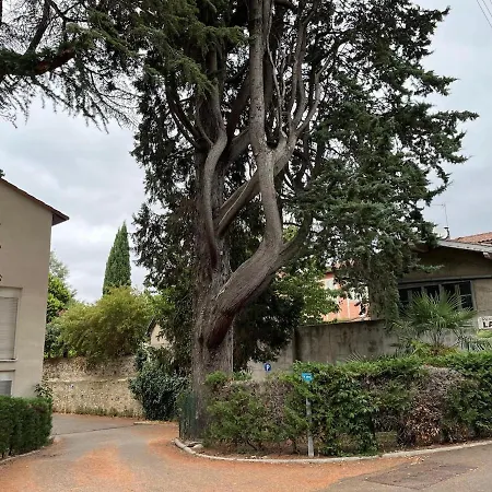 La Couate T1bis Cozy, Calme, Au Centre Et Garage Appartement *